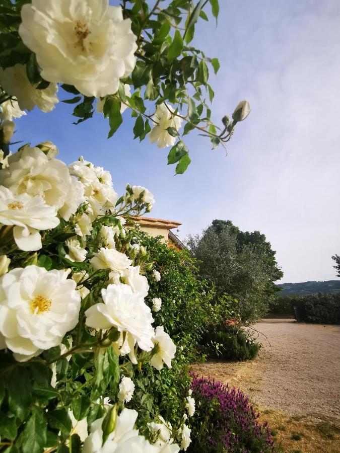 Bed and Breakfast La Casa Dei Tigli Cannara Экстерьер фото