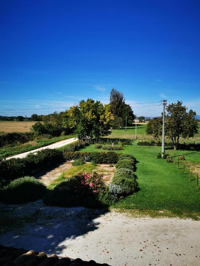Bed and Breakfast La Casa Dei Tigli Cannara Экстерьер фото