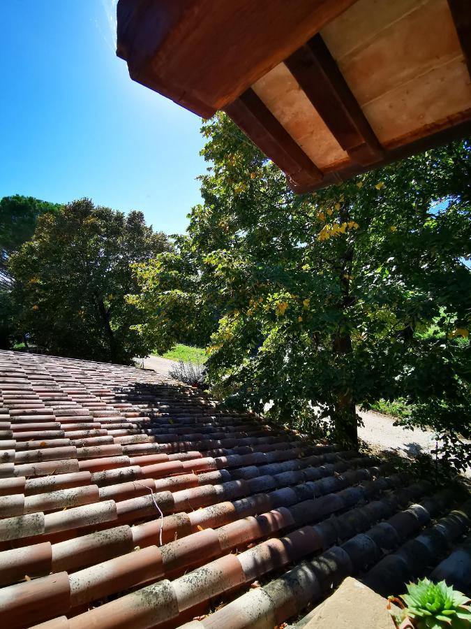 Bed and Breakfast La Casa Dei Tigli Cannara Экстерьер фото