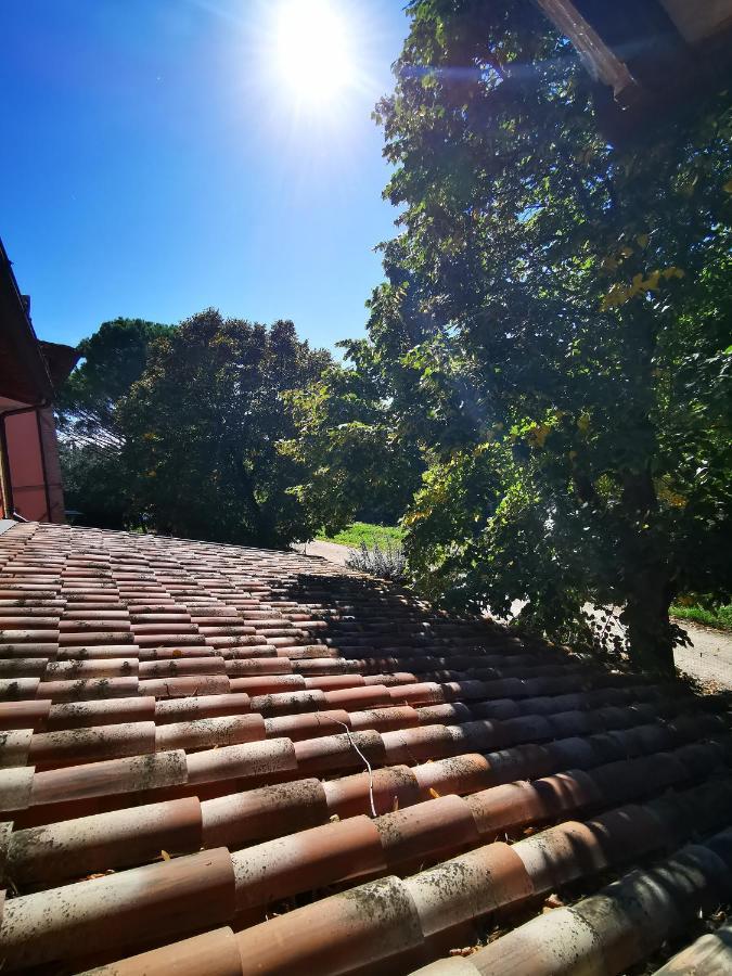 Bed and Breakfast La Casa Dei Tigli Cannara Экстерьер фото