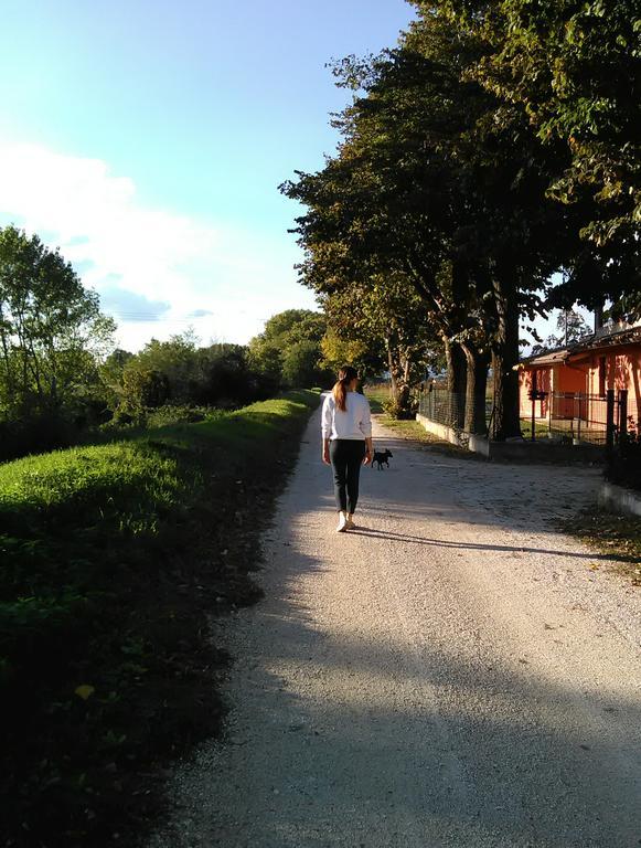 Bed and Breakfast La Casa Dei Tigli Cannara Номер фото
