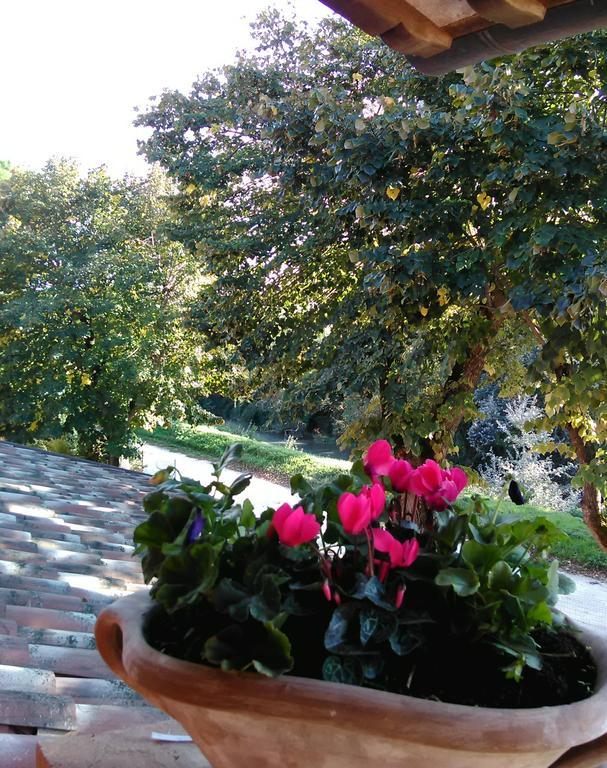 Bed and Breakfast La Casa Dei Tigli Cannara Номер фото